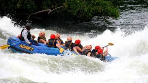 Best Time to Visit Uganda
